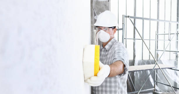 Best Mold Damage Restoration  in Salineville, OH